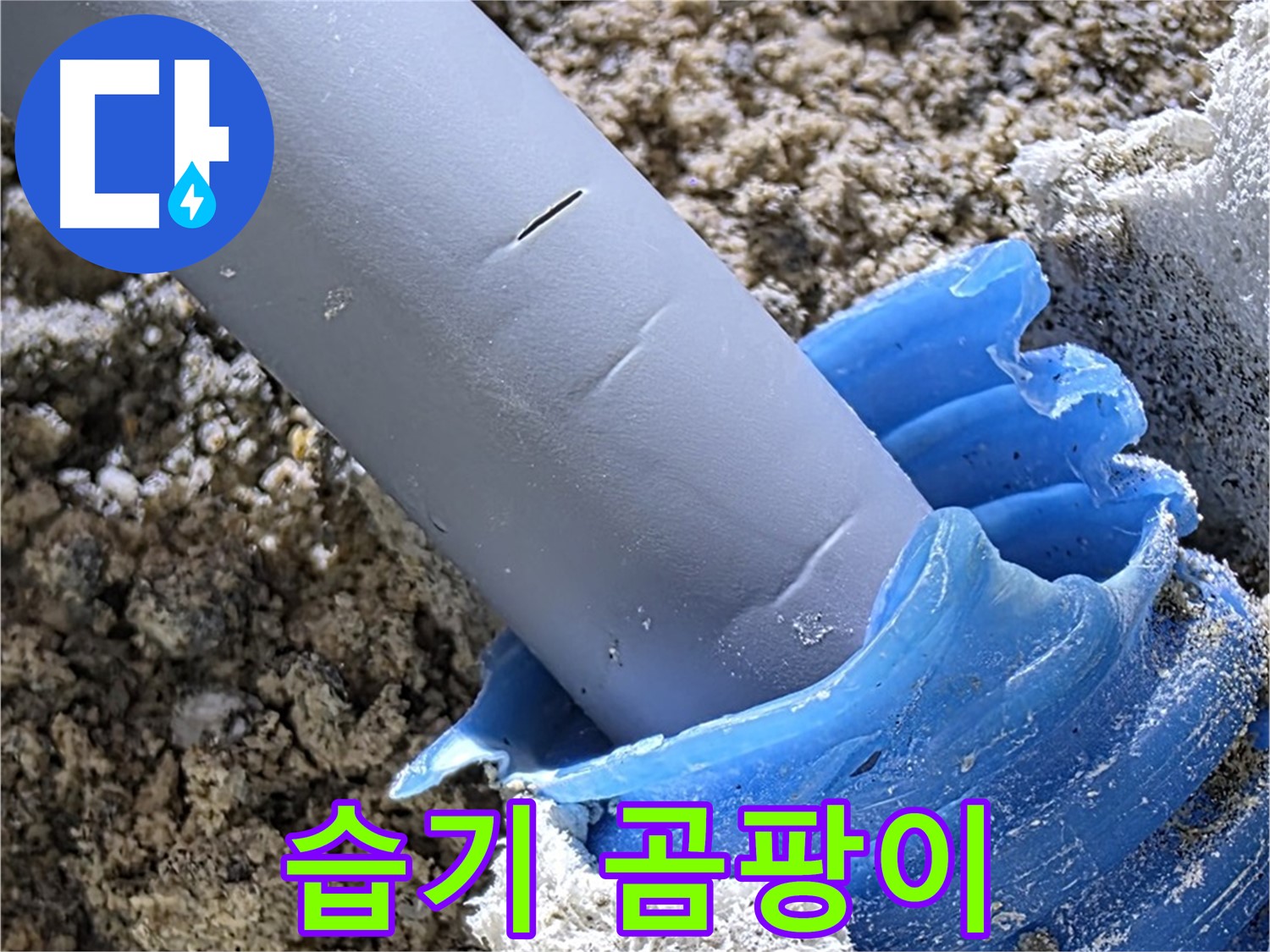 양주 자이 누수 - 배관 주변 벽면 습기 및 보호재 곰팡이 상태를 확인하고 있습니다 - 누수 의심.