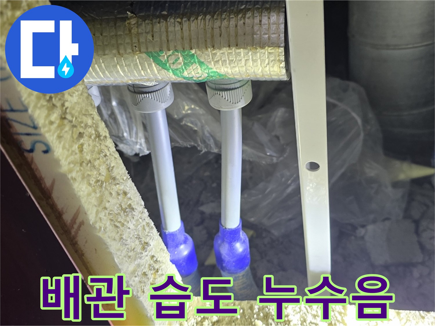 양주 자이 아파트 누수 - 배관 연결 부위 주변 습도 변화 및 미세 누수음 청취