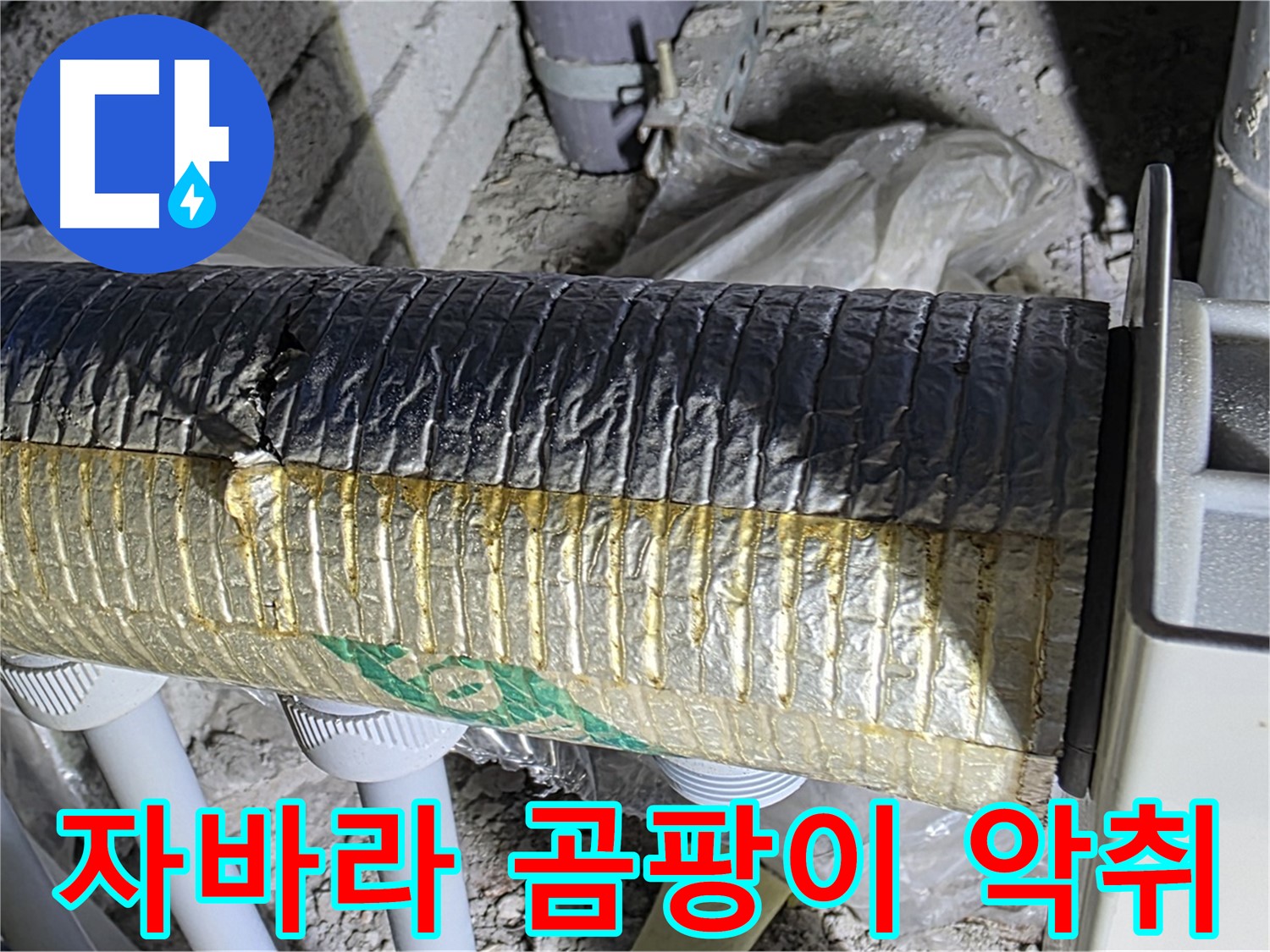 양주 자이아파트 누수 - 곰팡이 핀 자바라 - 실내 악취 - 건강 문제