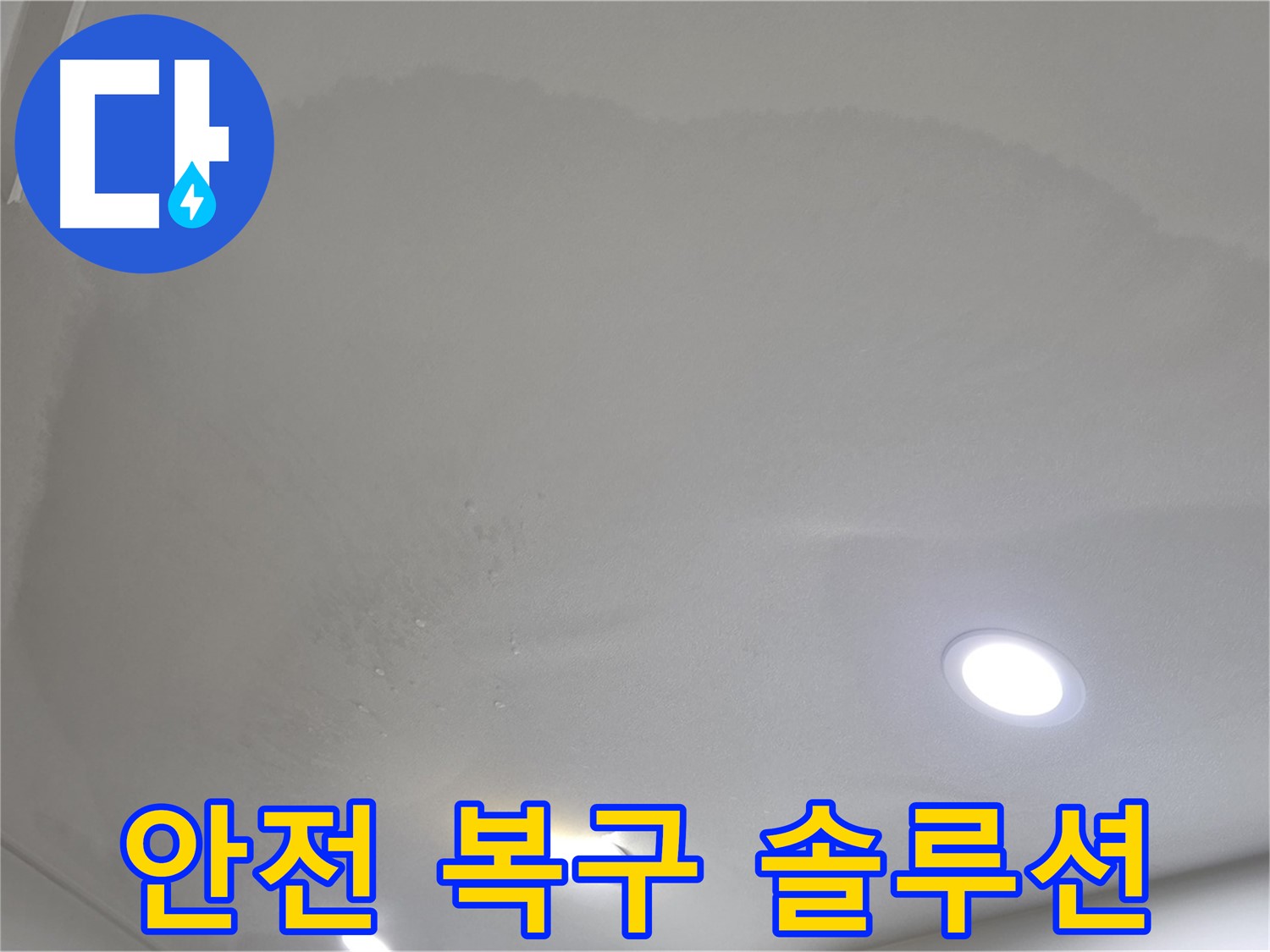 양주 천장 누수 - 젖어버린 천장, 맞춤 해결책
