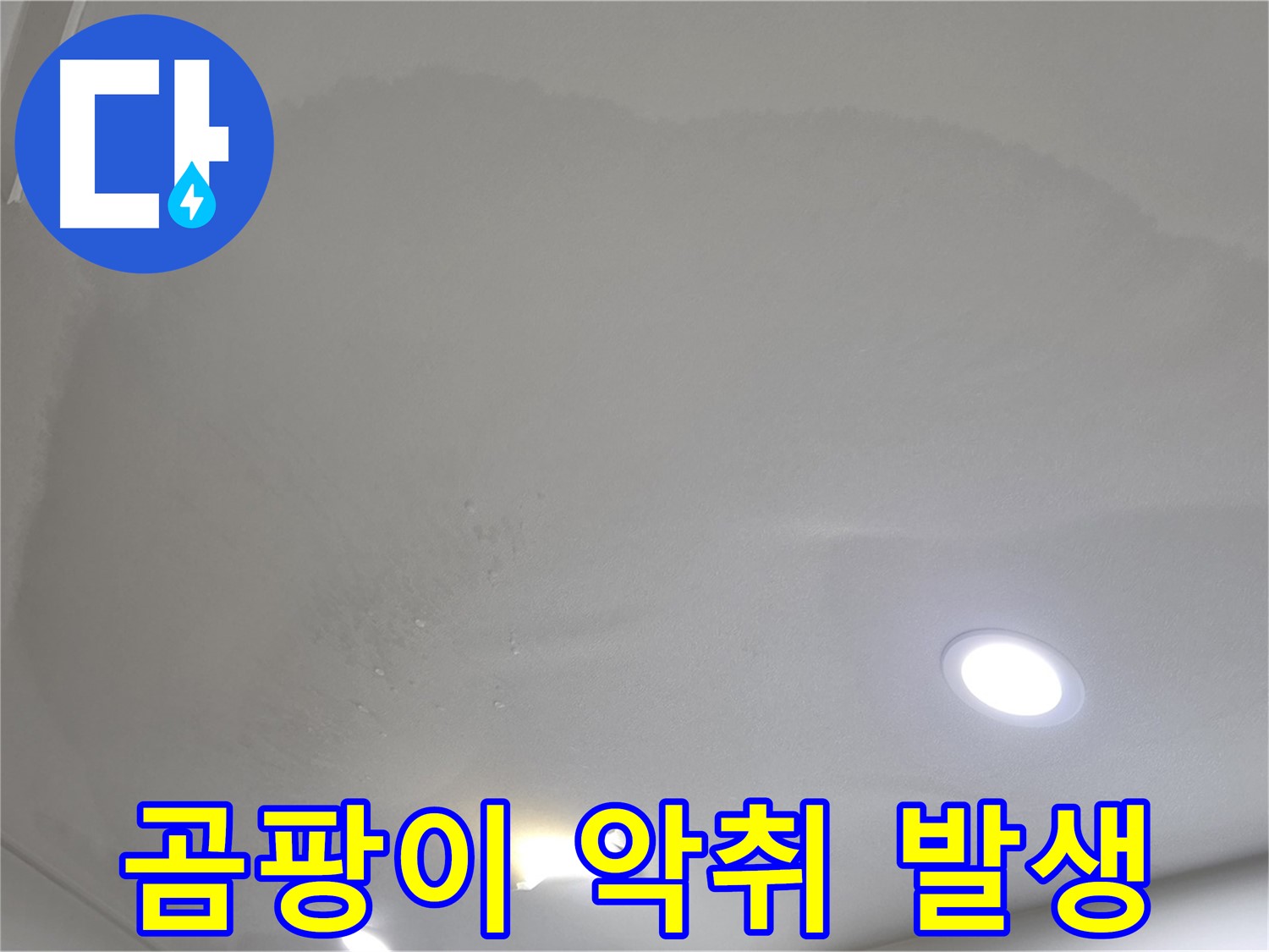 양주시 삼숭동 누수 - 부풀어 오른 천장 - 곰팡이 악취