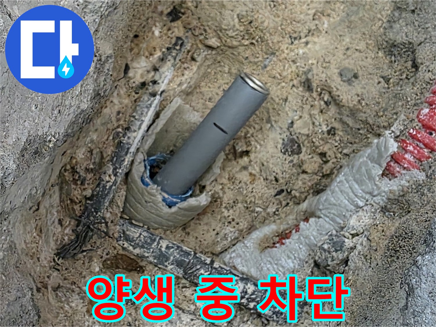 자이아파트 누수 - 꼼꼼 양생 차단 시공