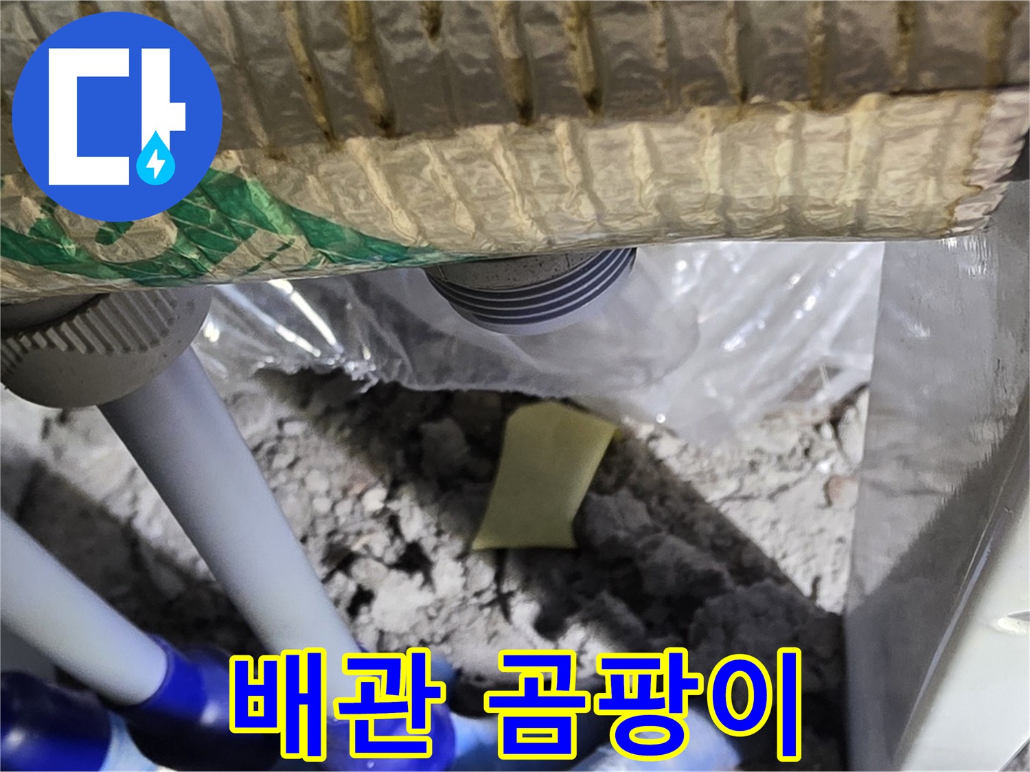 하수 배관 - 주변 곰팡이 발생