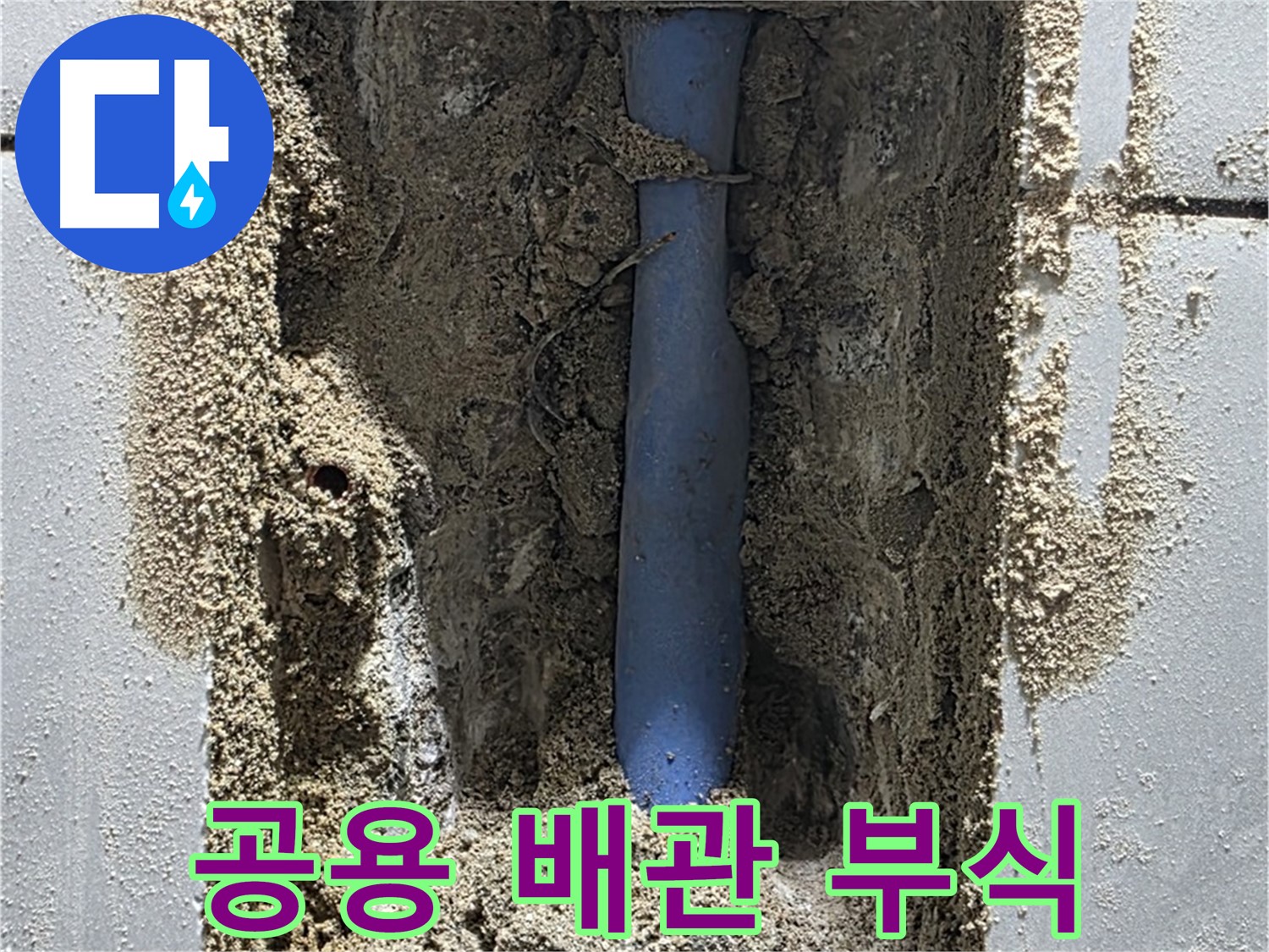 분당 정자동 누수 - 공용 배관 부식으로 아랫집 누수 발생