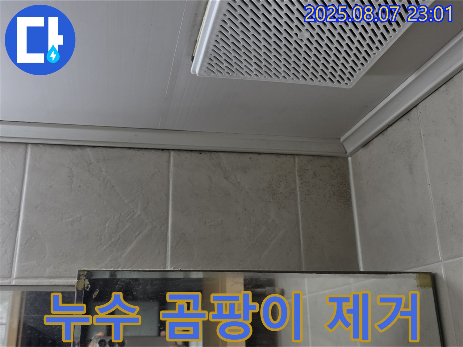 욕실 천장 누수 - 곰팡이 제거 과정 - 영등포구 누수 전문 업체