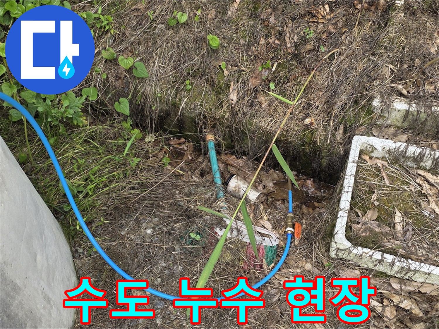 용인시 처인구 원삼면에서 발생한 수도 누수 현장 - 누수탐지 전문가가 정확한 위치를 파악하고 있습니다.