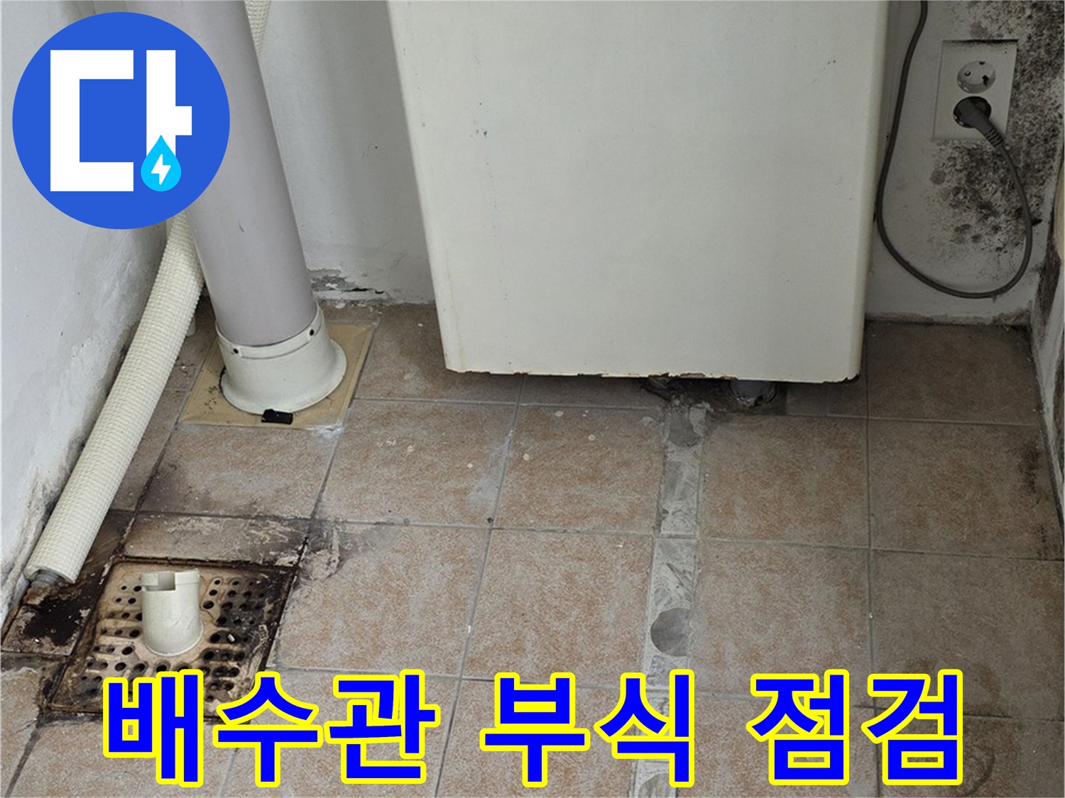 보일러 하단 누수 - 배수관 연결 부위 부식 및 곰팡이 집중 점검