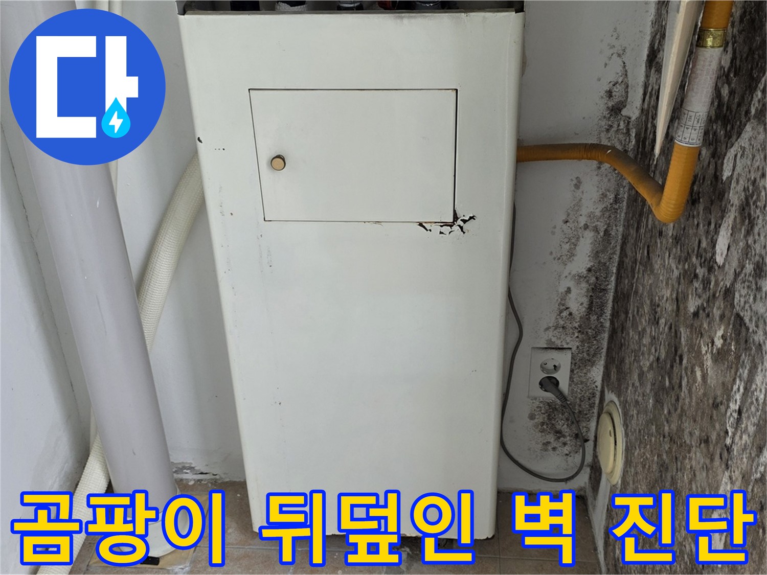 성북구 길음1동 숭인로 - 곰팡이 뒤덮인 벽 긴급 점검 - 누수 전문가의 신속한 진단