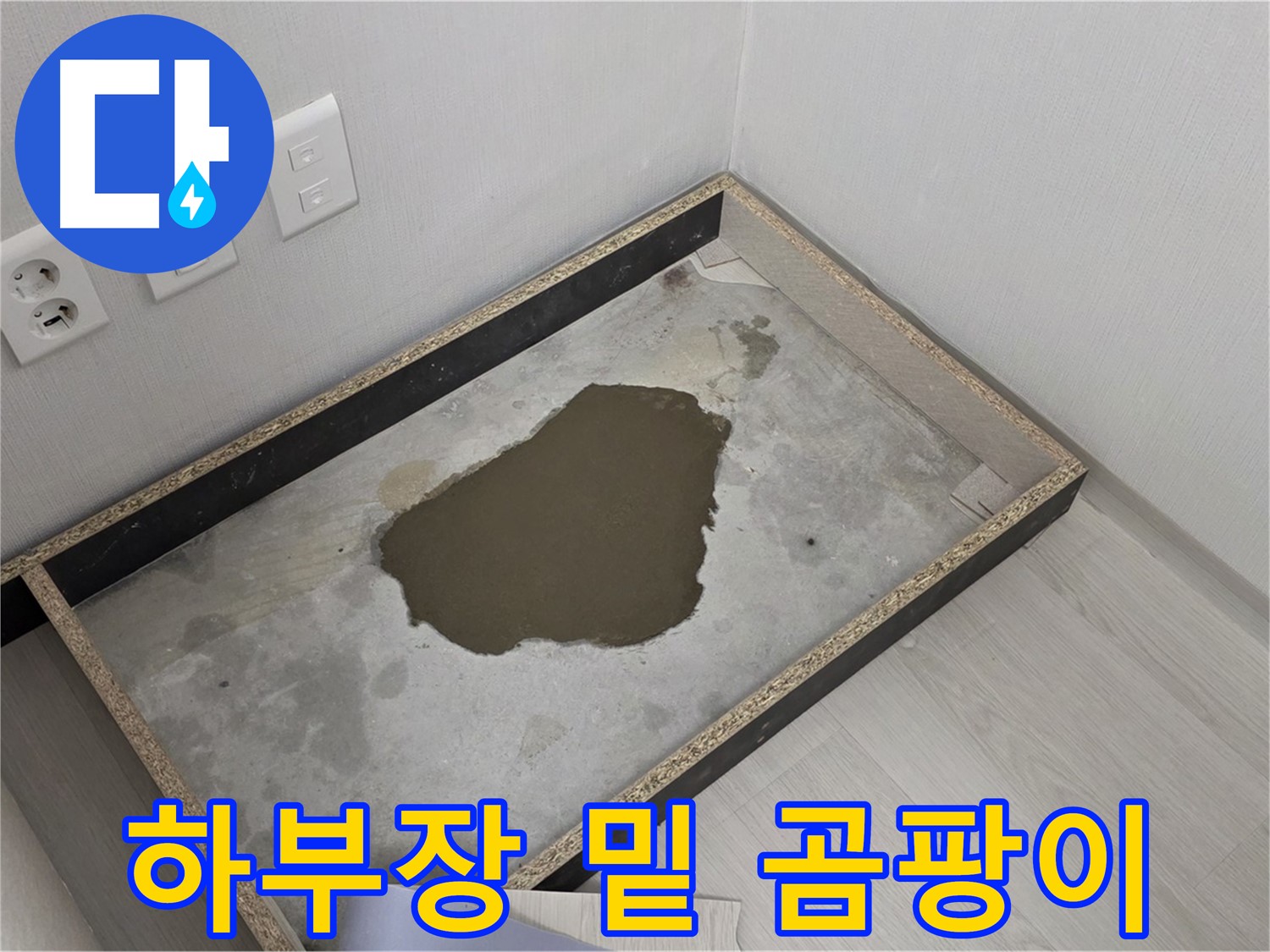 성북구 길음동 누수 - 하부장 밑 곰팡이 심각 - 누수 원인 확실히 분석