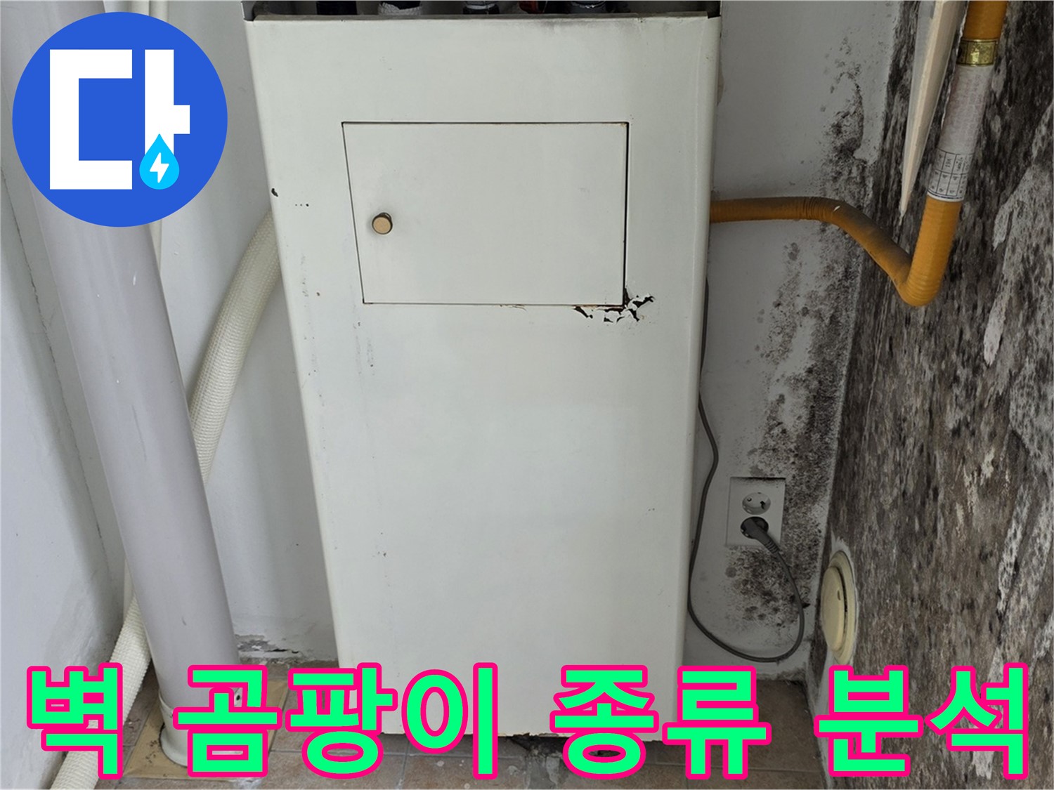 성북구 길음동 숭인로 - 곰팡이 핀 벽 곰팡이 종류 분석 - 누수 전문가의 정확한 분석