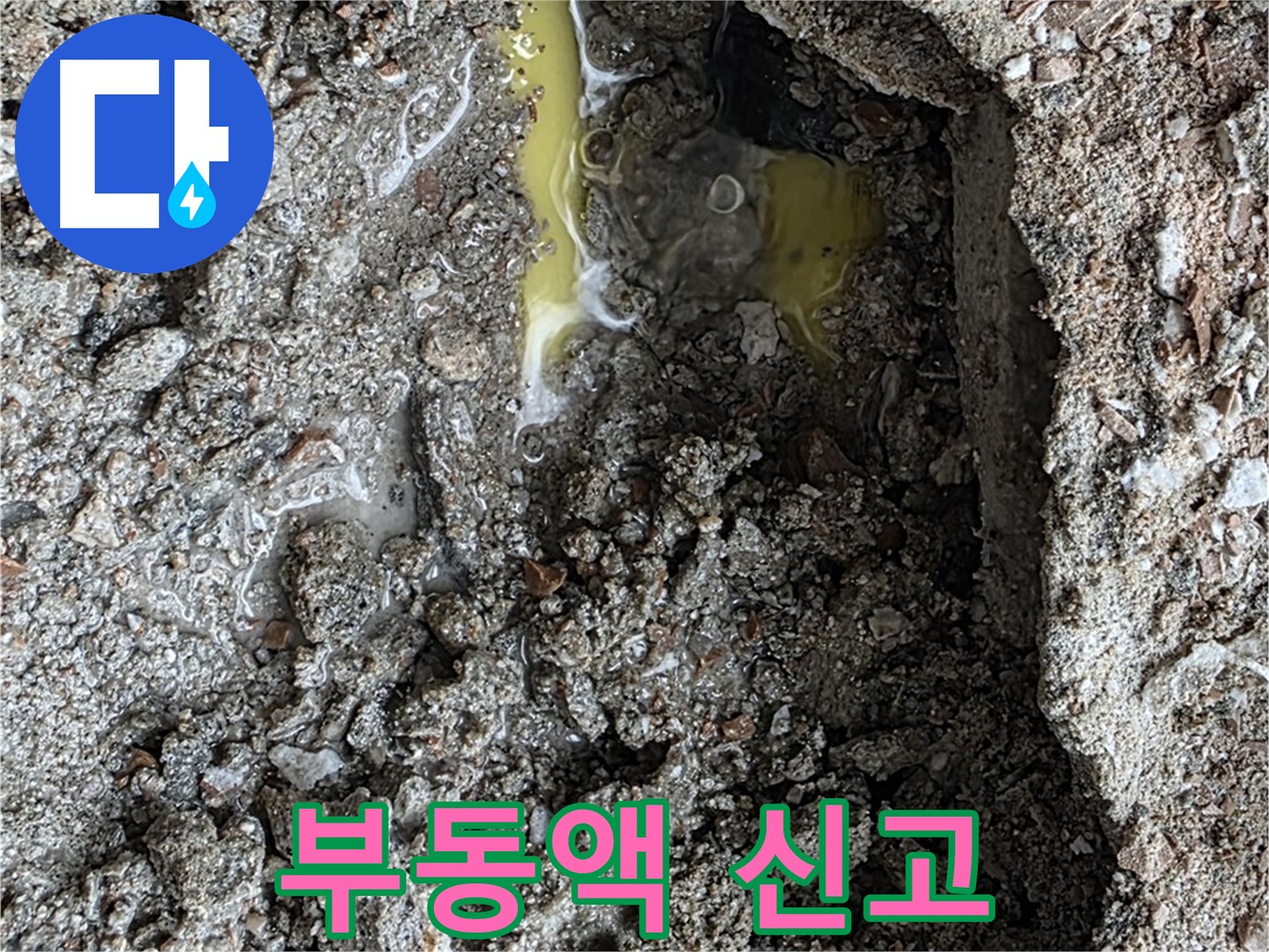 성북구 길음동 숭인로 누수 - 노란 액체를 발견하면 부동액 누수를 의심하고 신속하게 신고하세요!