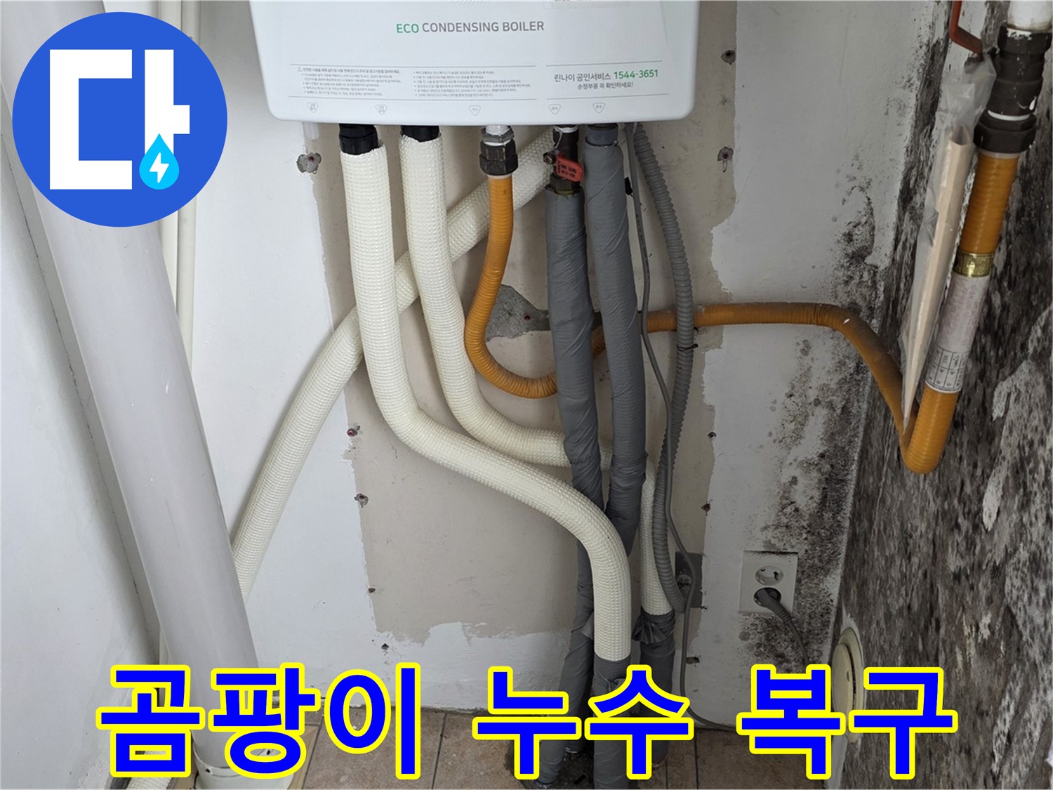 성북구 길음동 아파트 곰팡이 벽 - 보일러 배관 누수 완벽 복구 완료