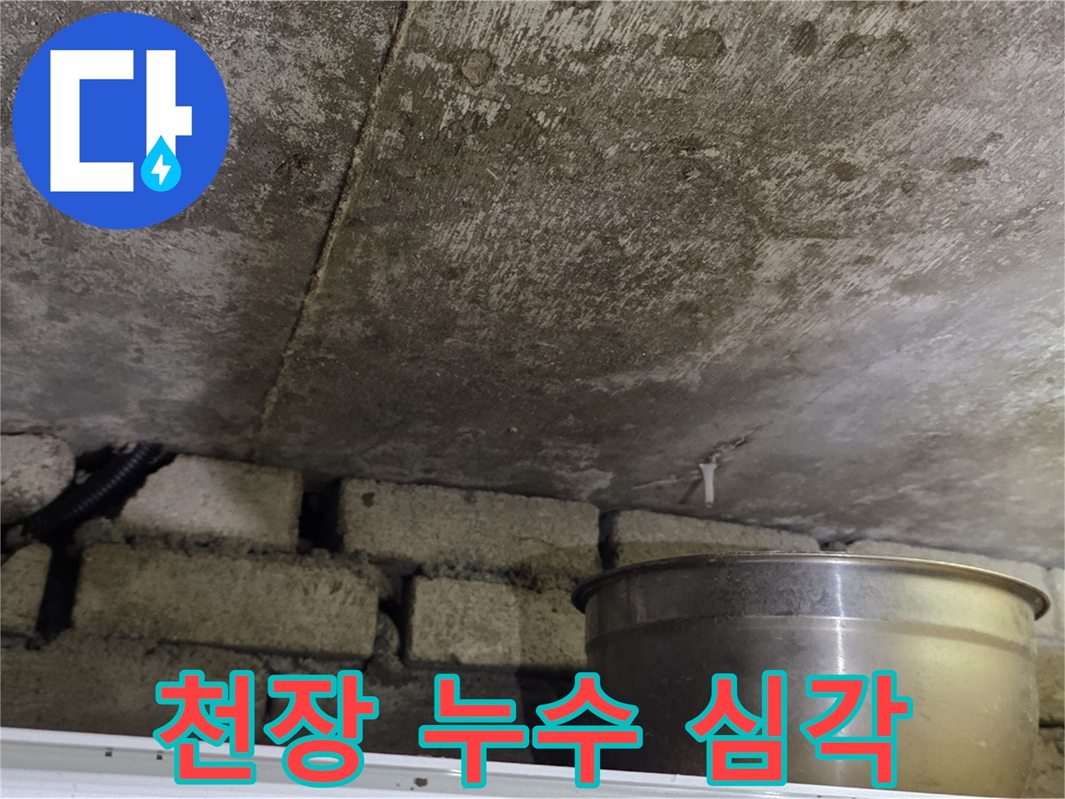 원일아파트 천장 누수 - 심각한 누수 흔적과 물받이 양동이가 놓여진 긴급한 현장입니다.