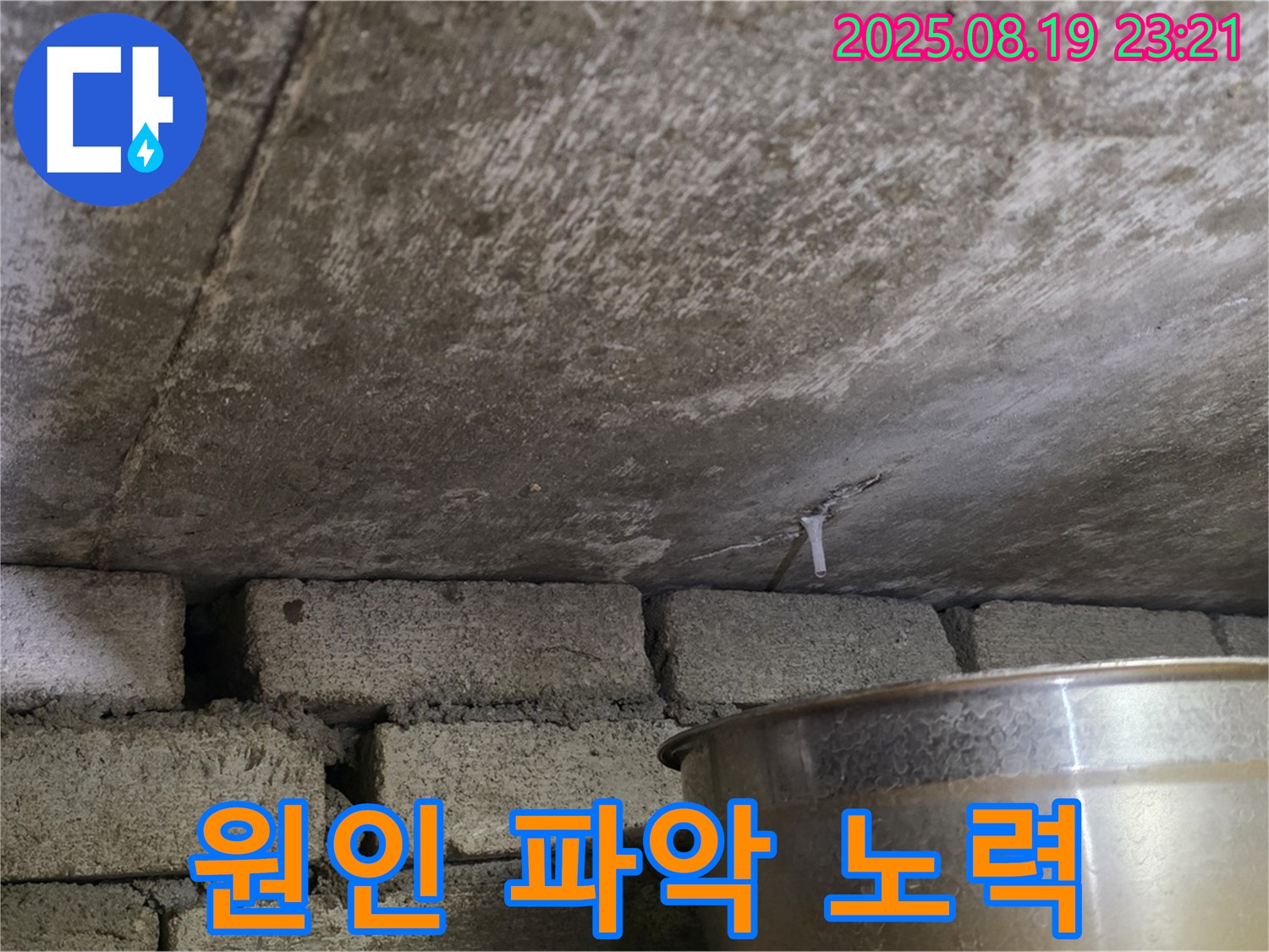 처인구 원일아파트 천장 누수, 누수 원인을 파악하기 위해 다양한 각도에서 꼼꼼하게 점검하고 있습니다 - 숙련된 기술과 경험을 바탕으로 원인을 찾고 있습니다.