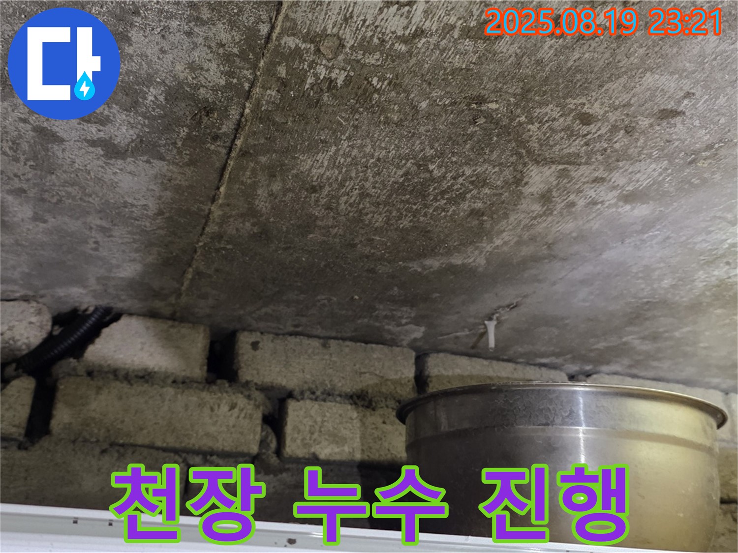 천장 누수 진행 - 천장에서 물이 멈추지 않고 계속 떨어지는 모습