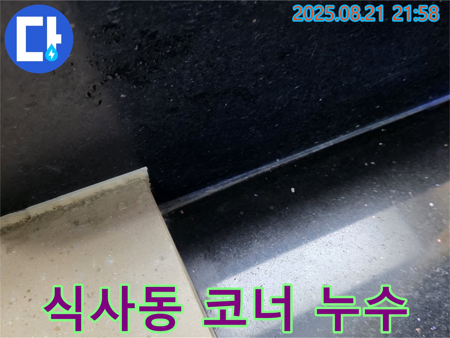 일산 식사동 누수 현장 - 젖은 타일과 곰팡이 흔적을 통해 욕실 코너 누수 위치를 파악하고 문제 해결을 위한 준비를 하는 모습