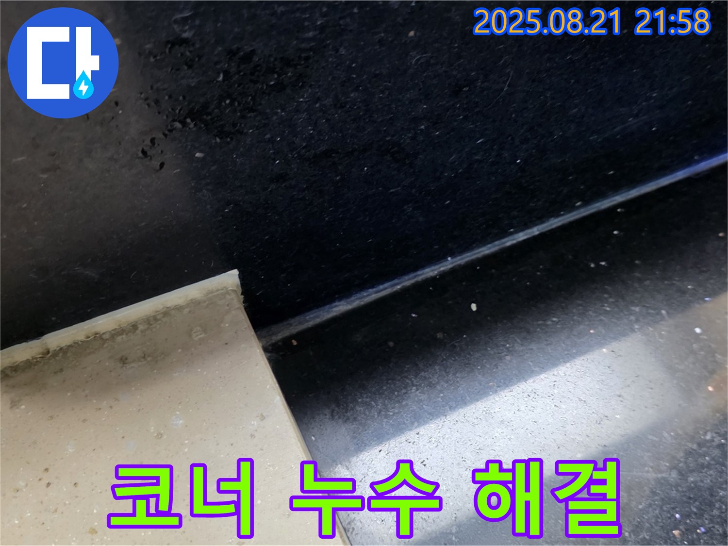 일산 하이파크 누수 현장 - 곰팡이 핀 욕실 코너 타일 틈새를 통해 누수 위치를 파악하고 문제 해결을 위한 준비를 하는 모습
