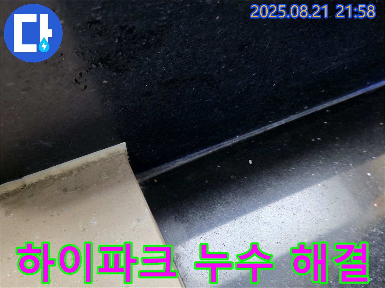 일산 하이파크 누수 현장 - 곰팡이 핀 타일 틈새를 통해 누수 위치를 파악하고 문제 해결을 위한 준비를 하는 모습