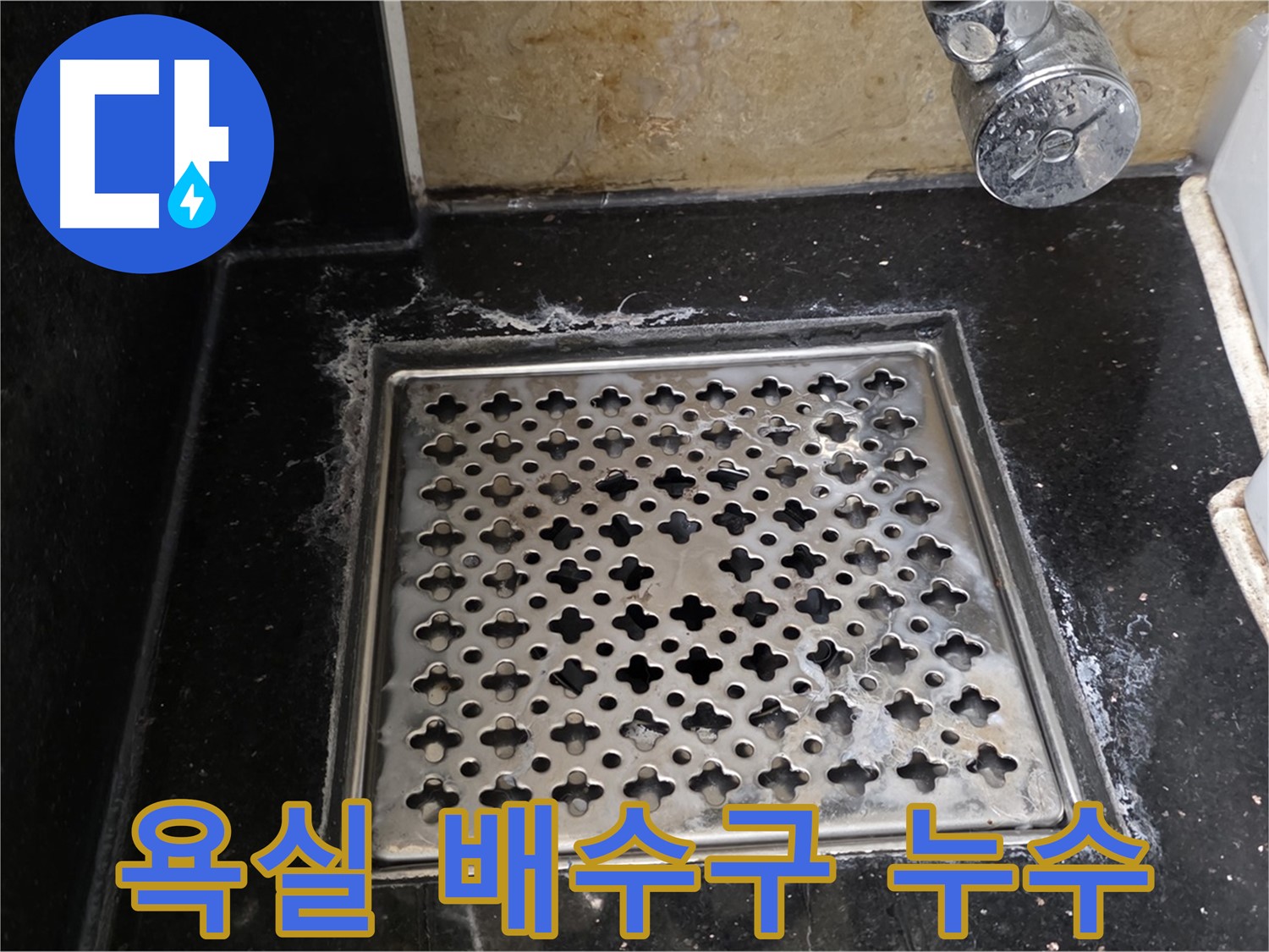 일산서구 하이파크에서 발생한 욕실 배수구 누수 - 전문 장비와 기술로 정확하게 진단하고 해결합니다.