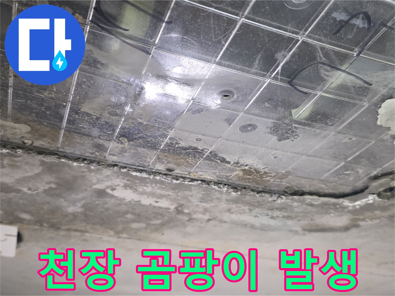천장 곰팡이 발생 - 누수로 인해 천장에 곰팡이가 번식하고 있습니다.