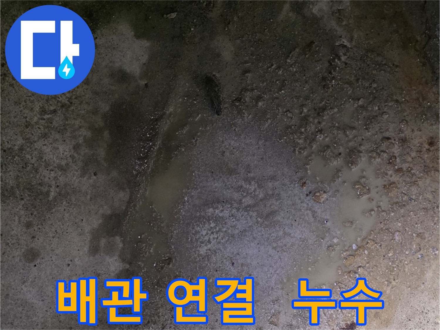 강원특별자치도 철원군 서면 와수리 누수 현장 - 배관 연결 부위에서 누수가 발생, 노후된 배관 점검이 필요합니다.
