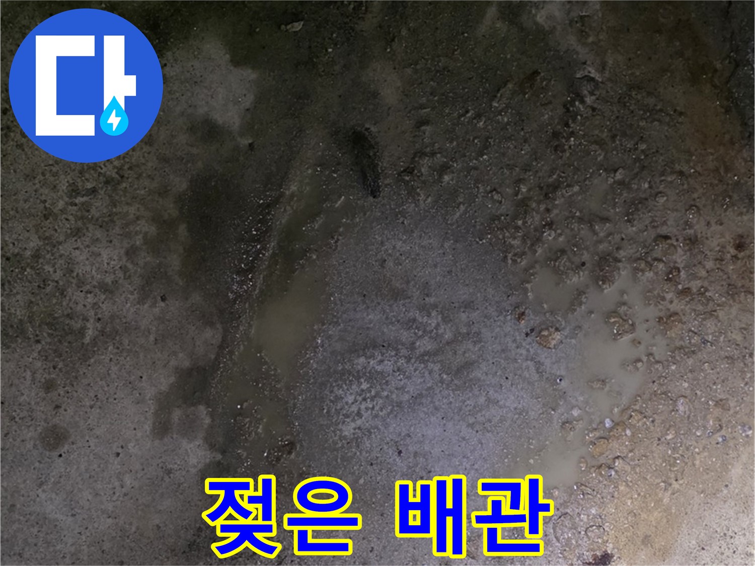 강원특별자치도 철원군 서면 와수리 누수 현장 - 젖은 배관은 누수가 발생하고 있음을 직접적으로 보여주는 증거입니다.