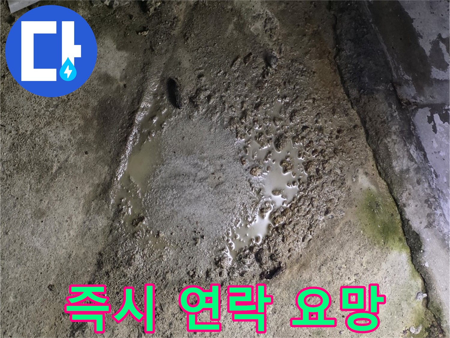 강원특별자치도 철원군 서면 - 콘크리트 건물에서 물이 샌다면 즉시 전문가에게 연락하여 상담받으세요.