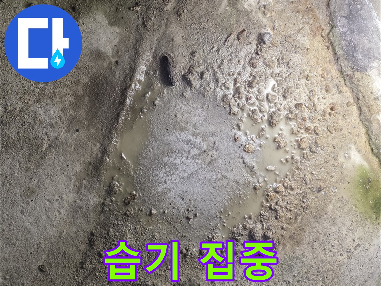 철원군 서면 와수리 누수 - 콘크리트 바닥에 습기가 집중된 곳은 누수 지점일 가능성이 높습니다 - 정밀 탐지가 필요합니다.