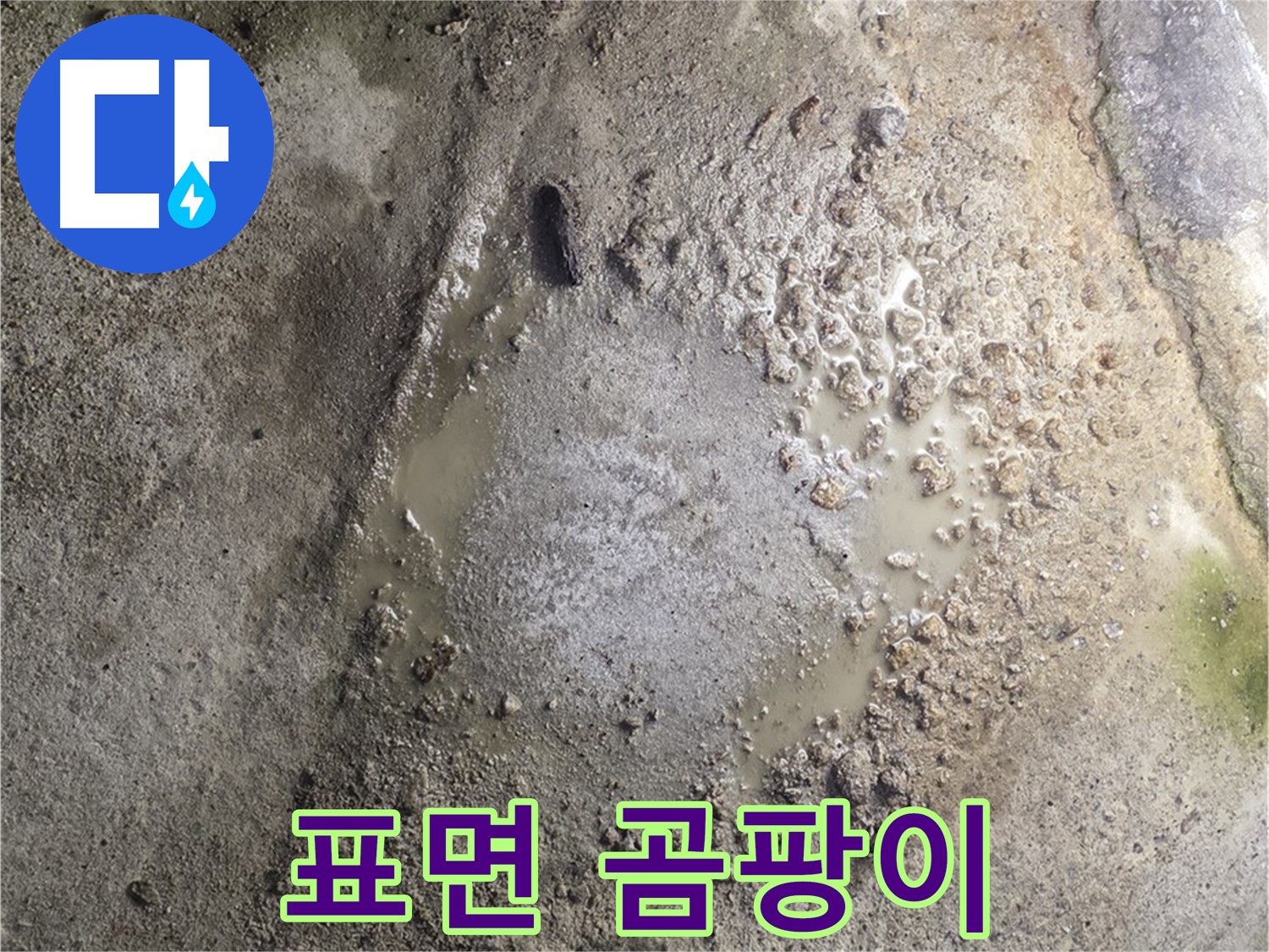 철원군 서면 와수리 누수 - 콘크리트 표면 곰팡이는 누수와 습기 문제를 동시에 나타냅니다 - 건강을 위해 빠른 조치가 필요합니다.