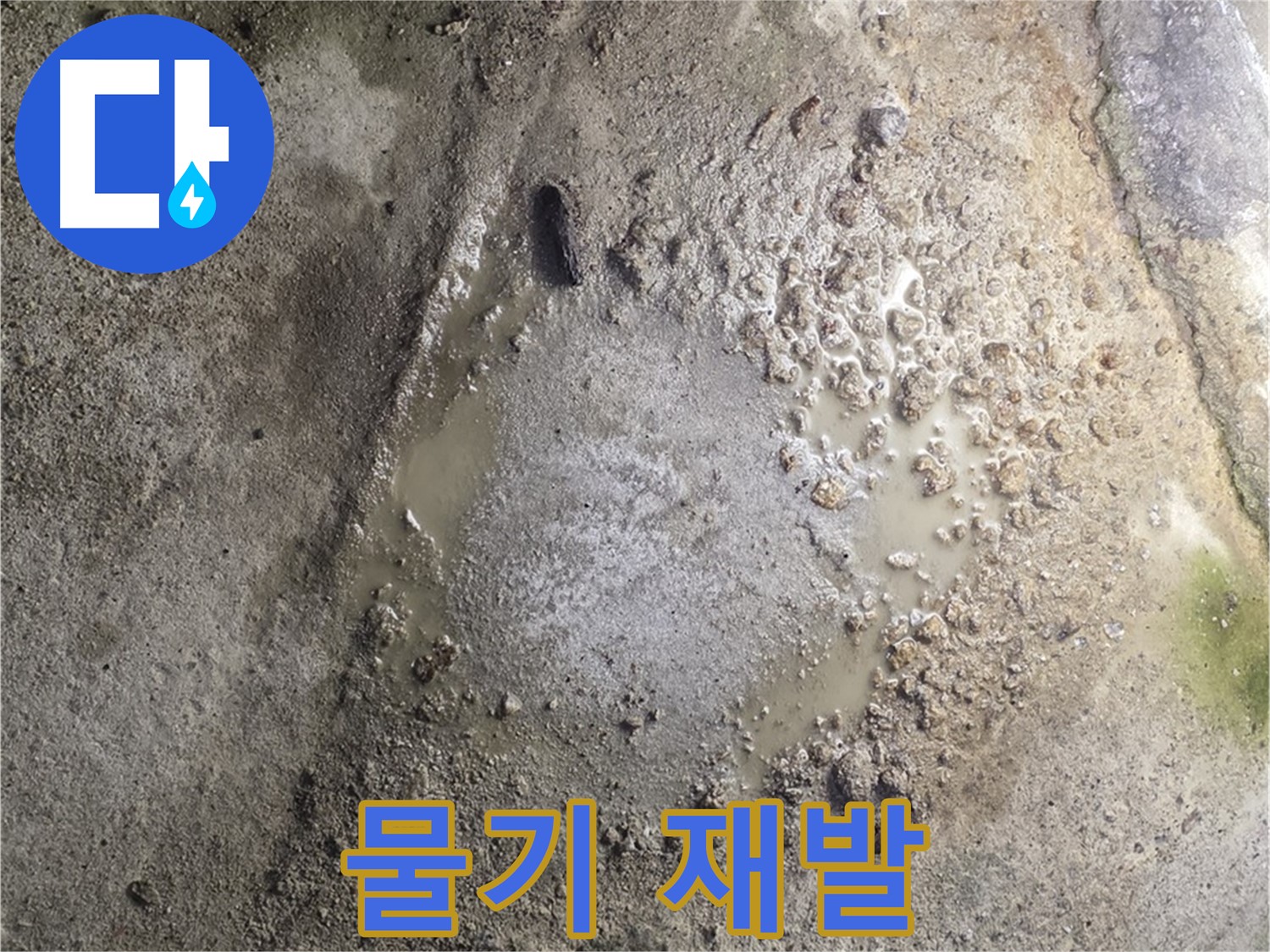 철원군 서면 와수리 누수 - 콘크리트 표면 물기를 제거해도 다시 나타난다면 숨겨진 누수를 의심해야 합니다 - 정밀 탐지가 필요합니다.