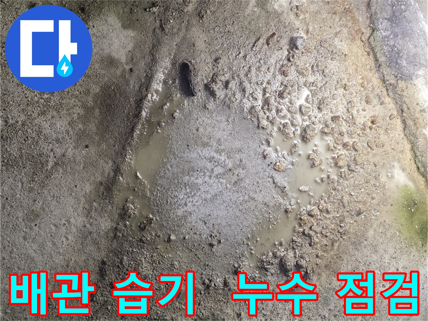 철원군 서면 와수리 누수 현장 - 배관 주변에 습기가 있는 상태로 전문적인 누수 점검이 필요한 상황입니다.