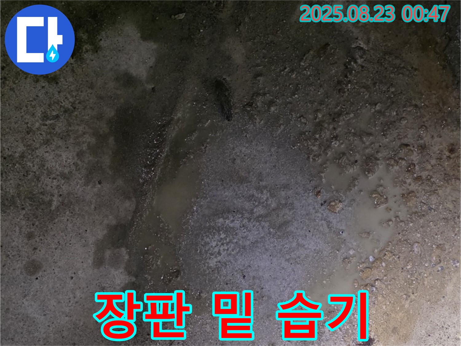 철원군 서면 와수리 누수 현장 - 장판 밑 습기, 눅눅함, 저희가 싹 해결해 드립니다.