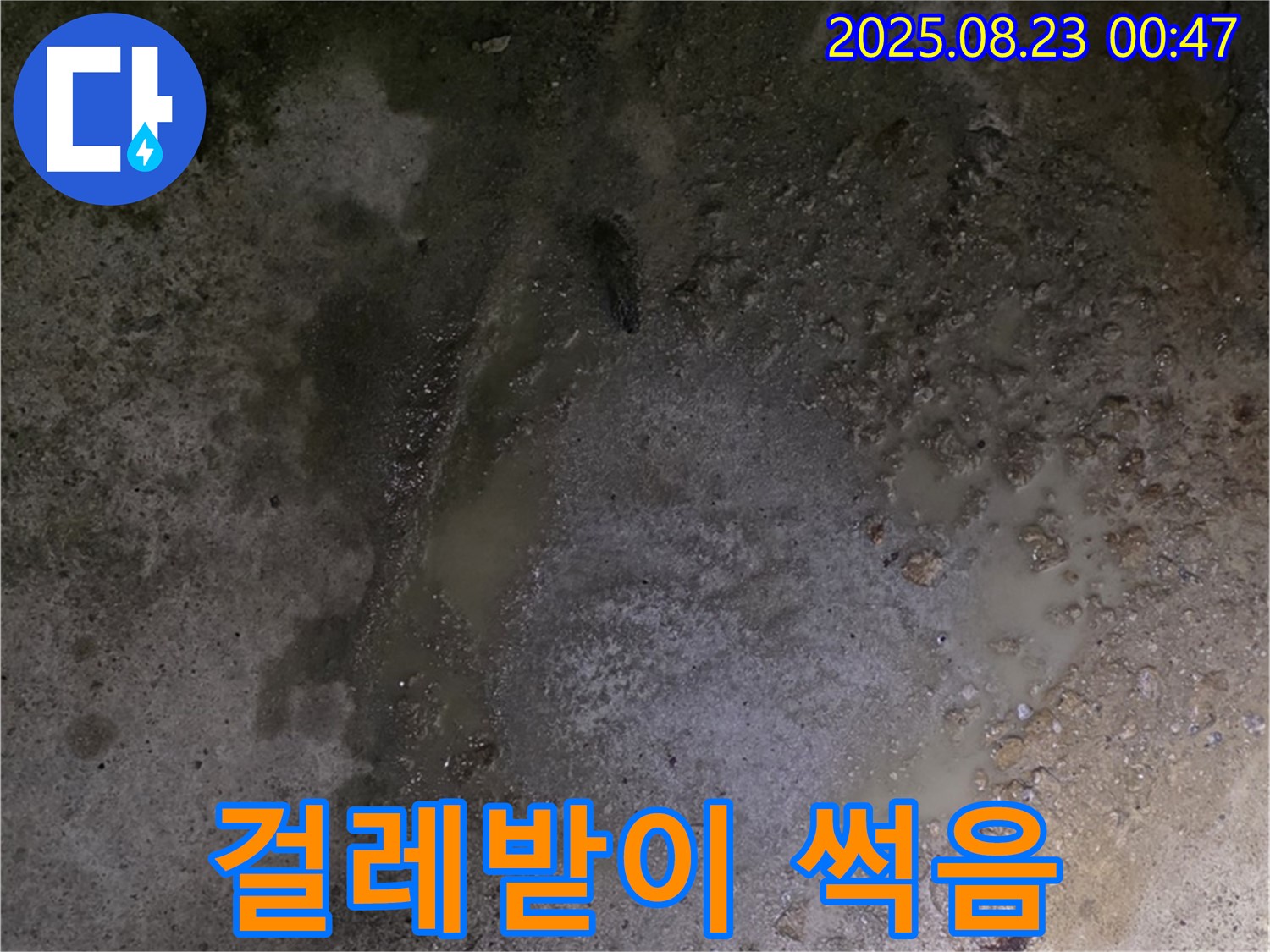 철원군 서면 와수리 누수 현장 - 콘크리트 바닥 습기 - 나무 걸레받이가 썩어가고 있습니다 - 걸레받이 교체가 필요할 수 있습니다.