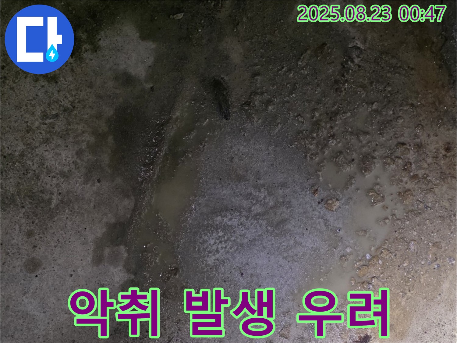 철원군 서면 와수리 누수 현장 - 콘크리트 바닥에 물이 고여 악취가 발생할까 우려됩니다 - 쾌적한 환경을 위해 빠른 조치가 필요합니다.