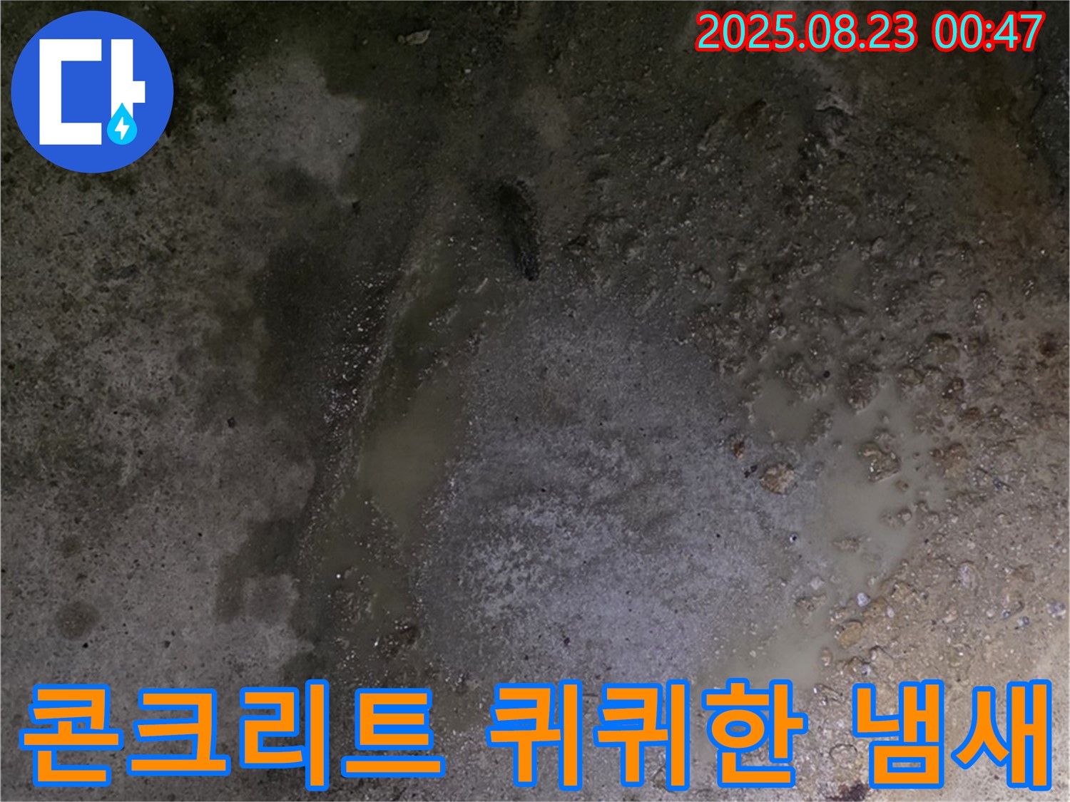철원군 서면 와수리 누수 현장 - 콘크리트 바닥에서 퀴퀴한 냄새가 심하게 납니다 - 곰팡이 번식과 관련된 문제일 수 있습니다.