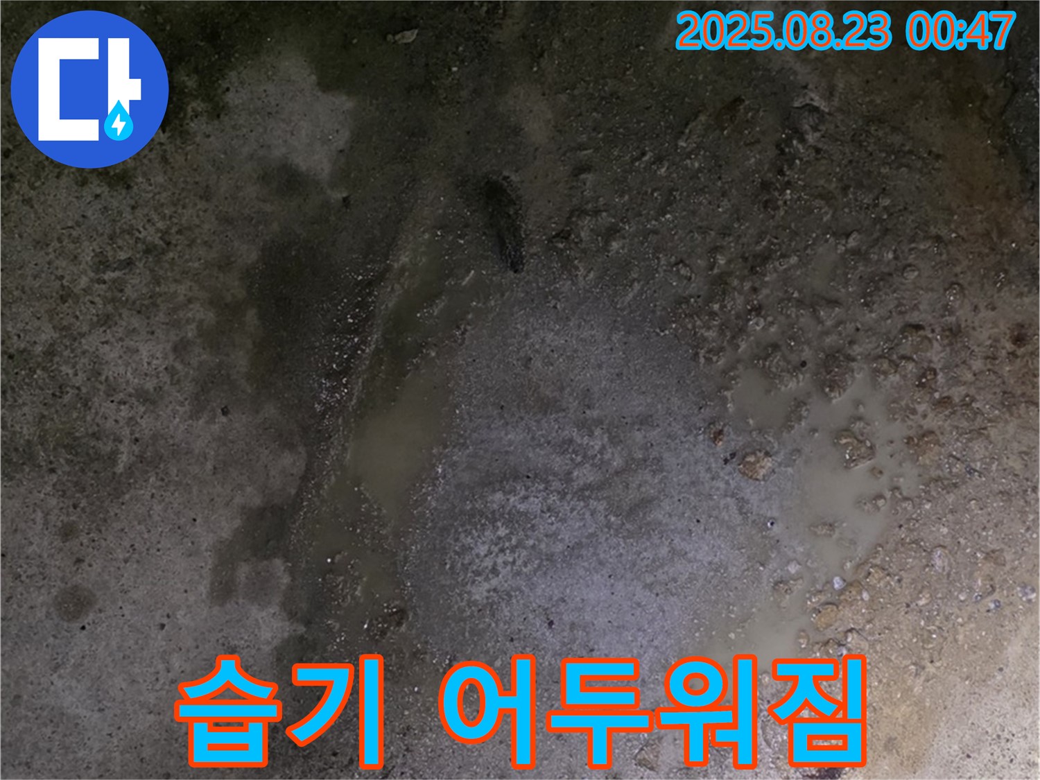 철원군 서면 와수리 누수 현장 - 콘크리트 바닥이 습기를 머금어 어두워졌습니다 - 누수로 인해 콘크리트가 손상될 수 있습니다.