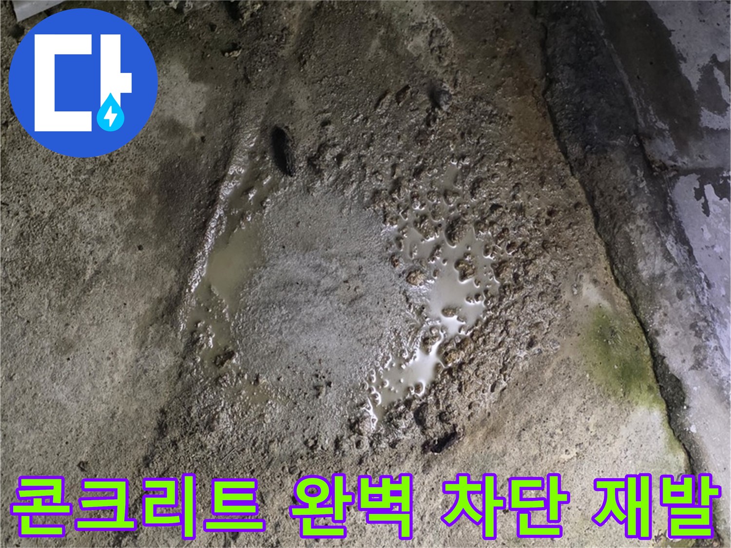 철원군 서면 와수리 - 콘크리트 건물 바닥이 누수로 인해 습해진 모습, 완벽하게 차단하고 재발까지 방지합니다.