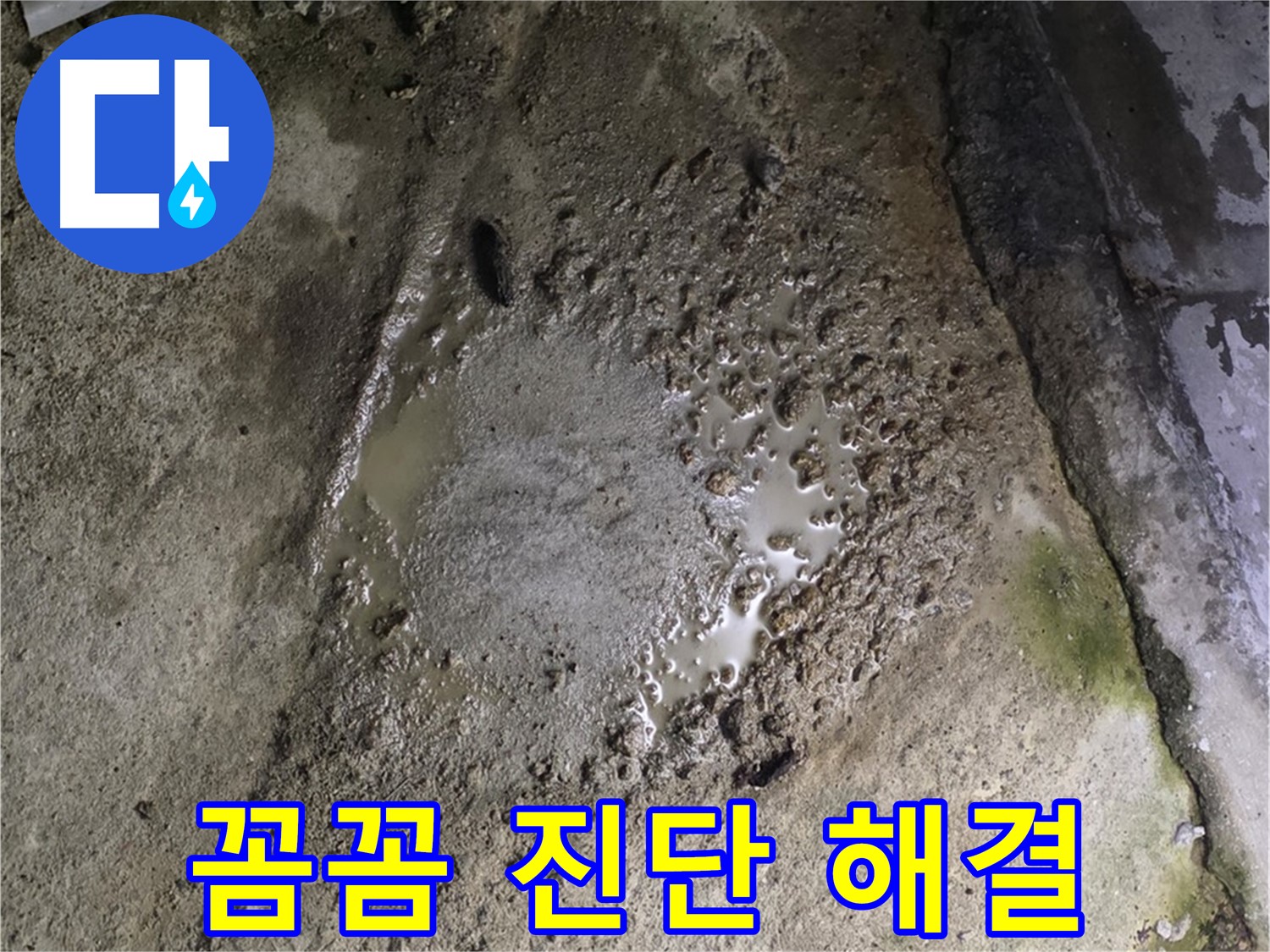 철원군 서면 와수리 - 콘크리트 건물 배관 주변 누수 의심, 꼼꼼하게 진단하여 문제를 해결해 드립니다.