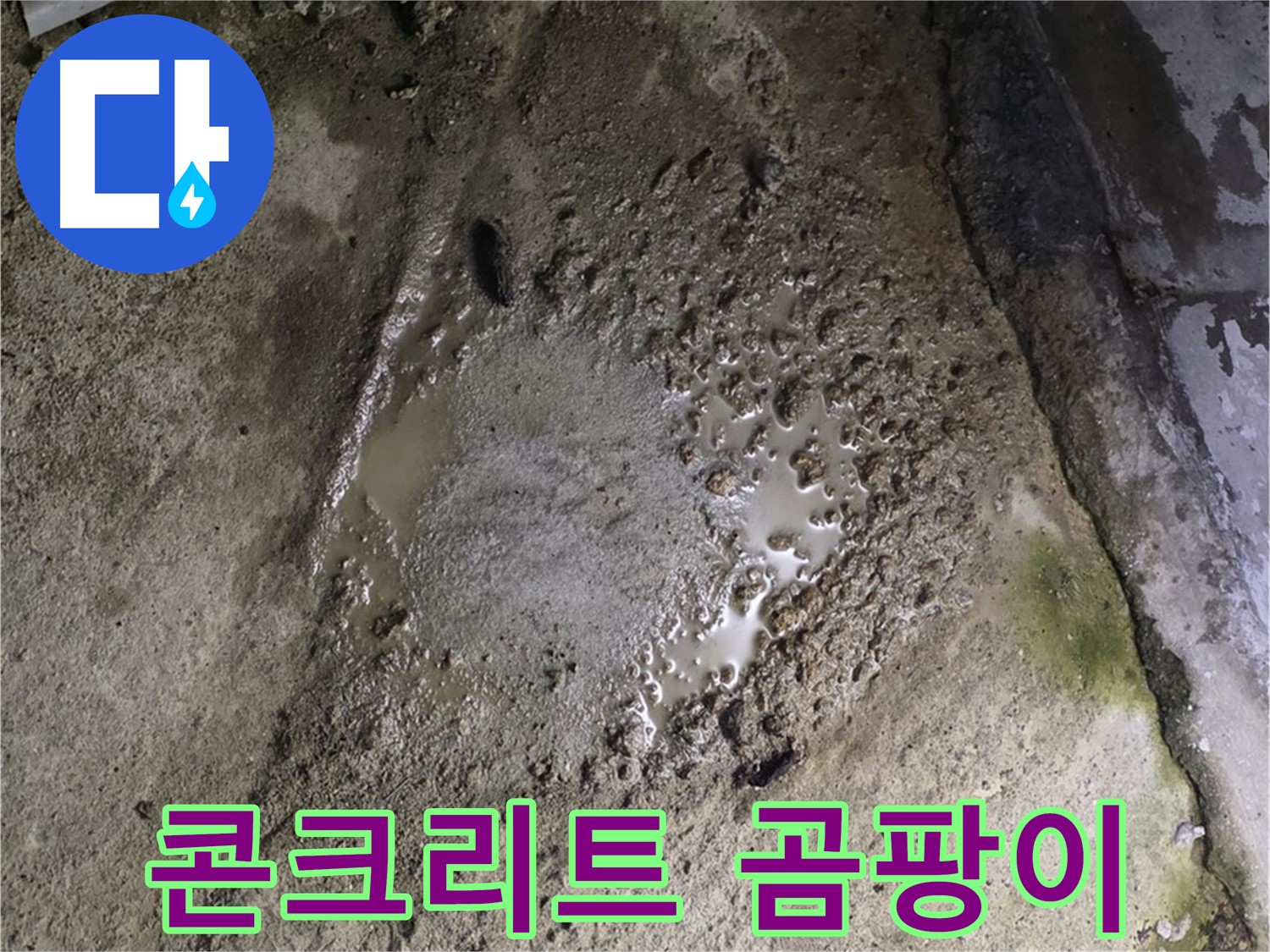 철원군 서면 와수리 - 콘크리트 건물 젖은 바닥과 함께 곰팡이가 발생했다면 누수를 의심하세요.