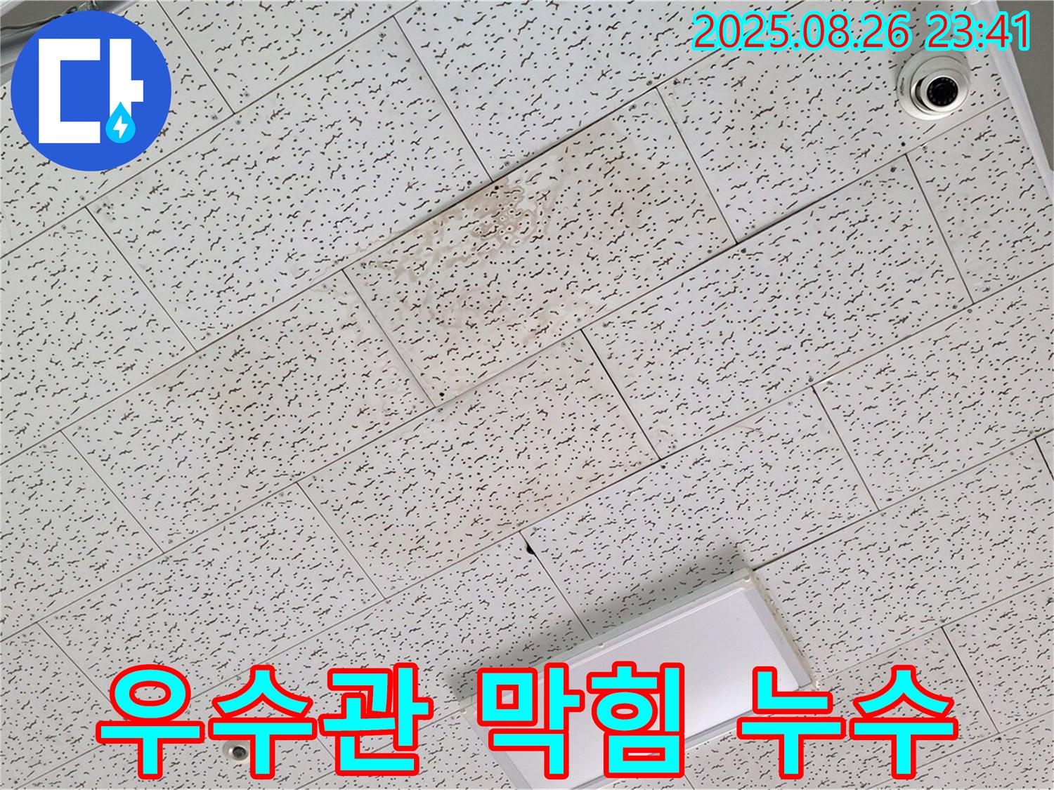 김포 장기동 상가 천장 누수 - 옥상 우수관 막힘으로 인한 빗물 역류