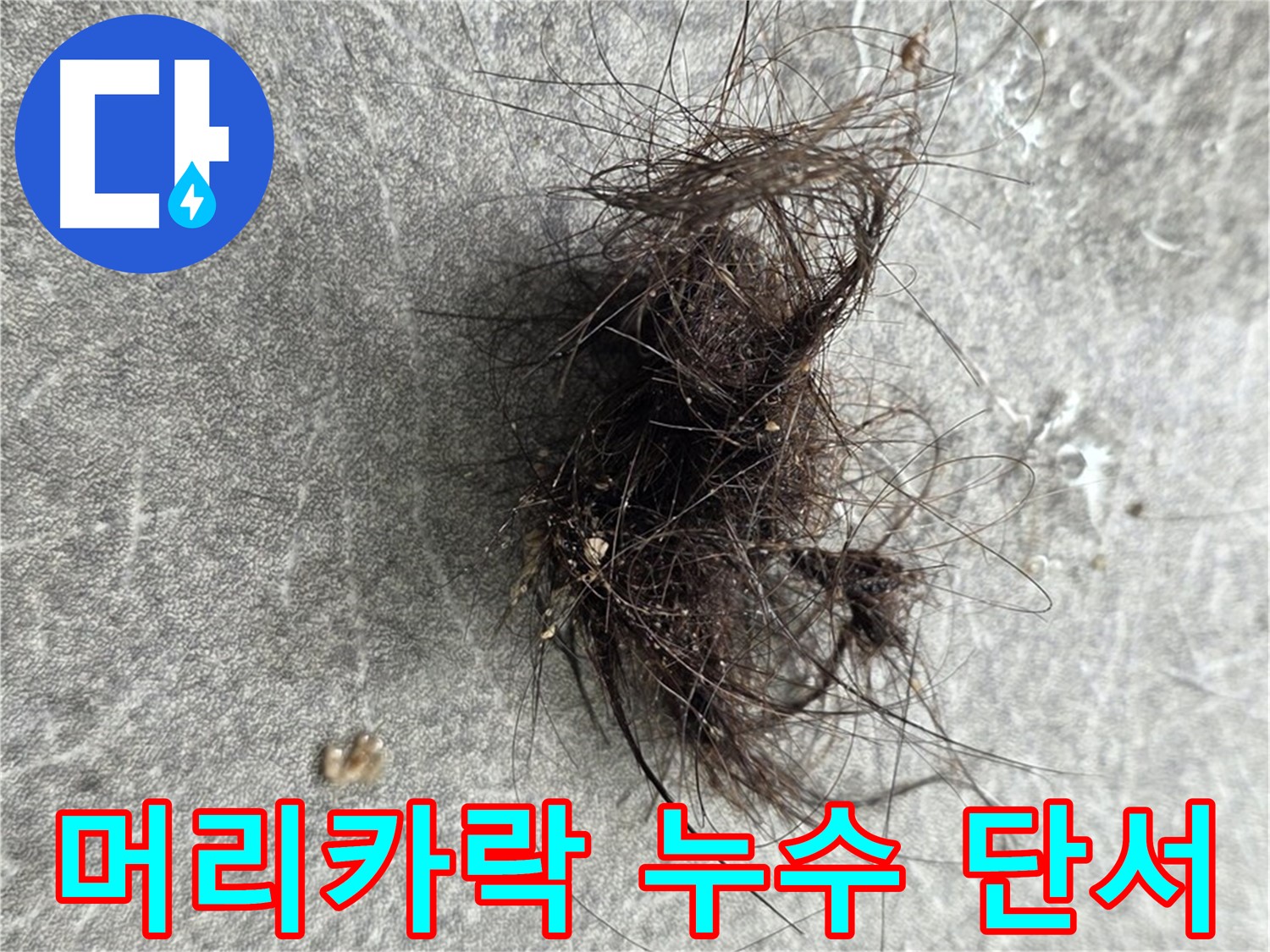 머리카락 누수 단서 - 머리카락 뭉침, 누수 위치를 알려주는 중요한 단서가 될 수 있습니다.