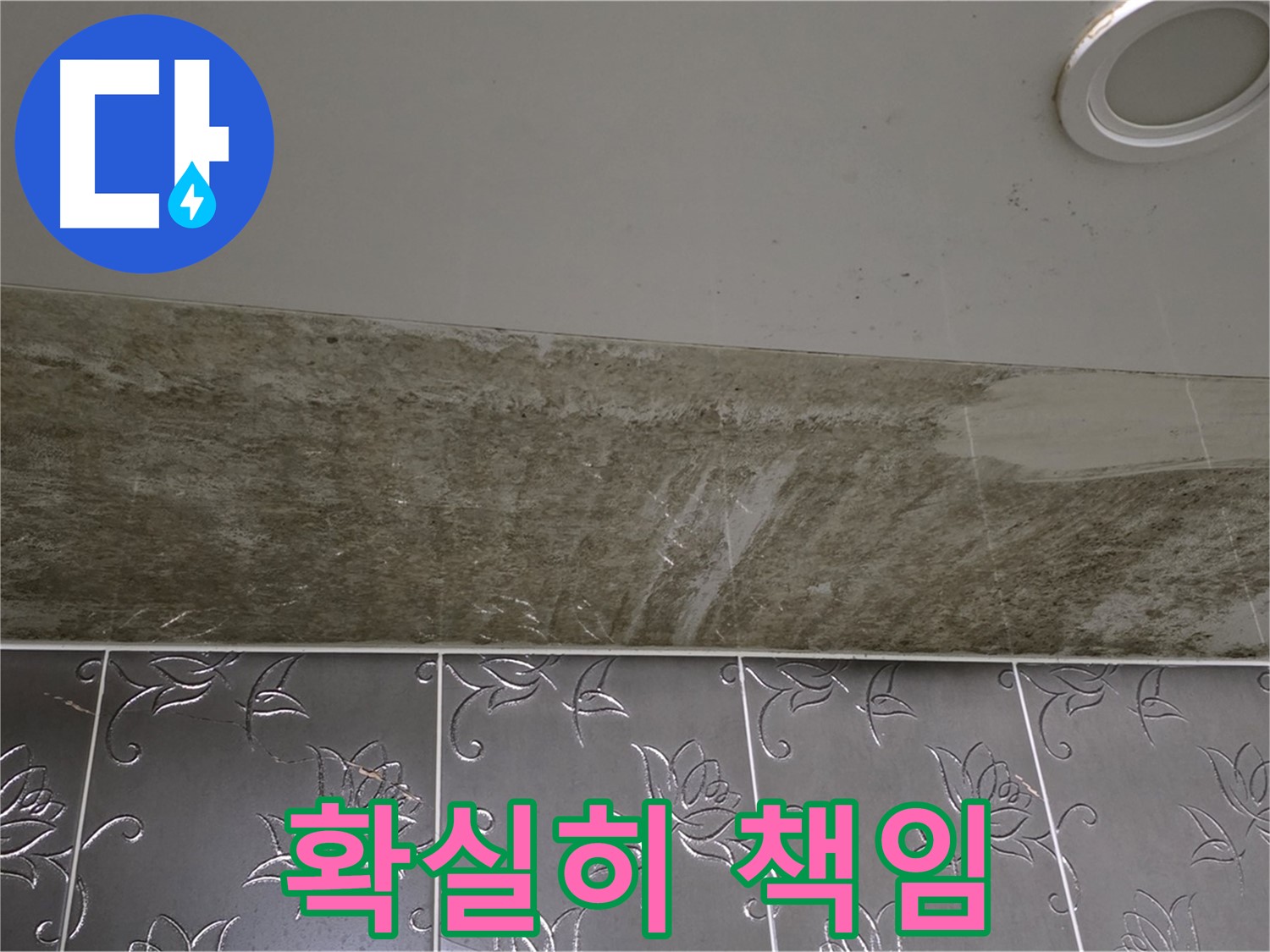 곰팡이 핀 화장실 천장 - 곰팡이 OUT, 쾌적하고 뽀송한 우리집! 확실하게 완성 책임집니다!