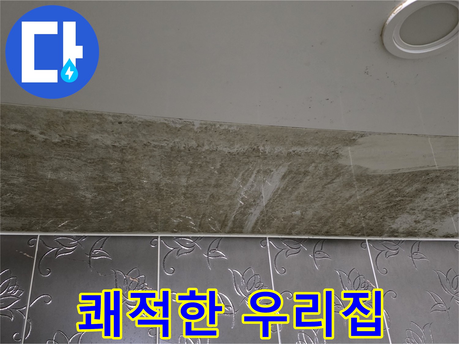 곰팡이 핀 화장실 천장 - 곰팡이 OUT, 쾌적한 우리집으로 변신