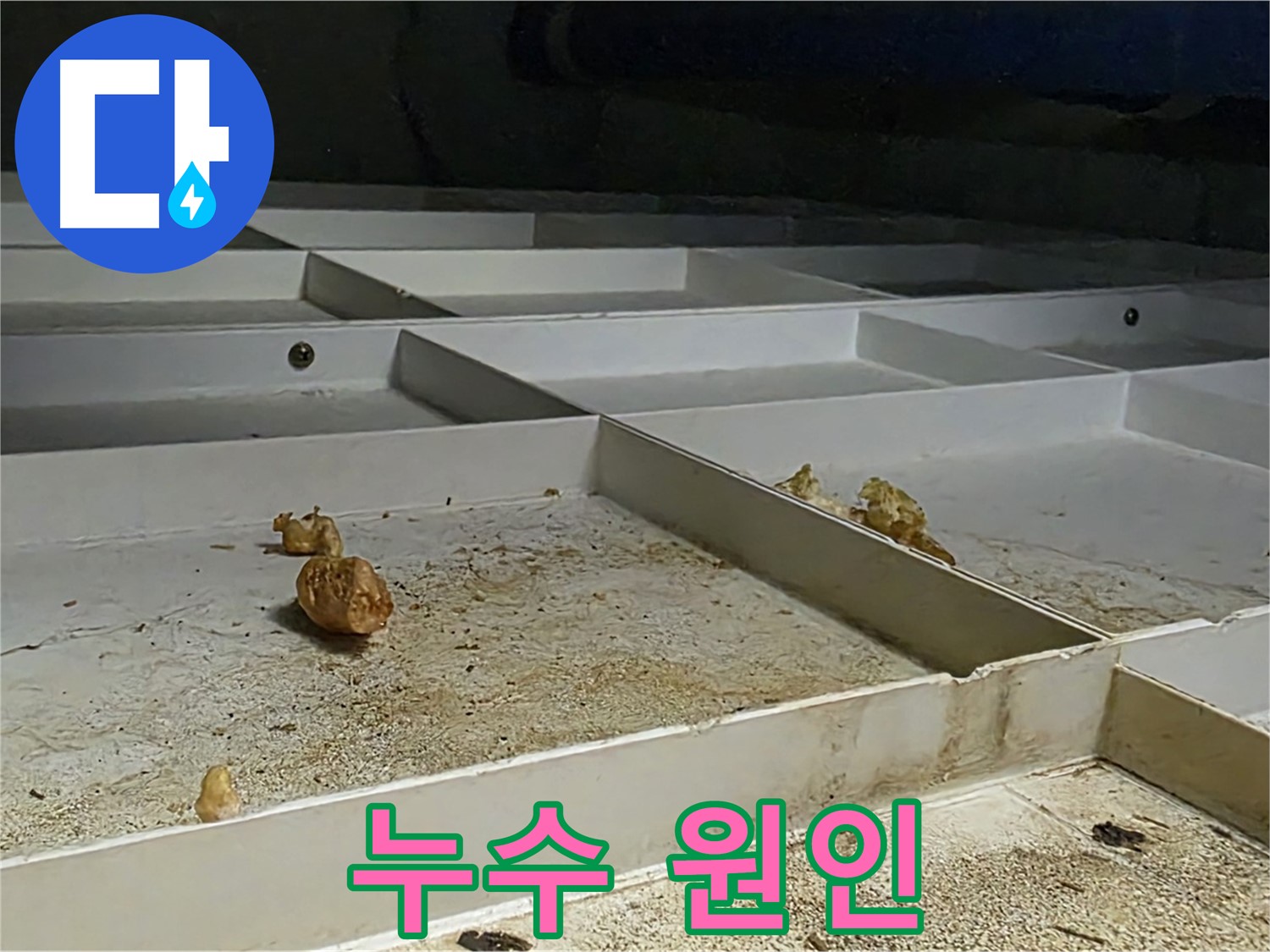 누수 원인 - 누수 발생 원인 파악