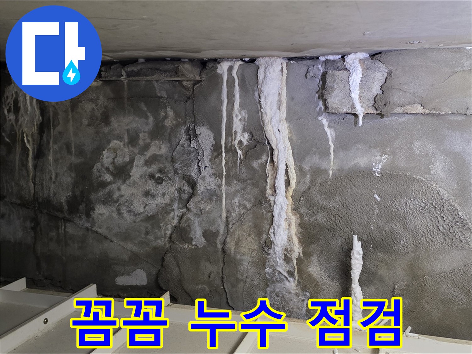 분당 운중동 건물 누수 - 주차장 누수 - 꼼꼼 점검 서비스