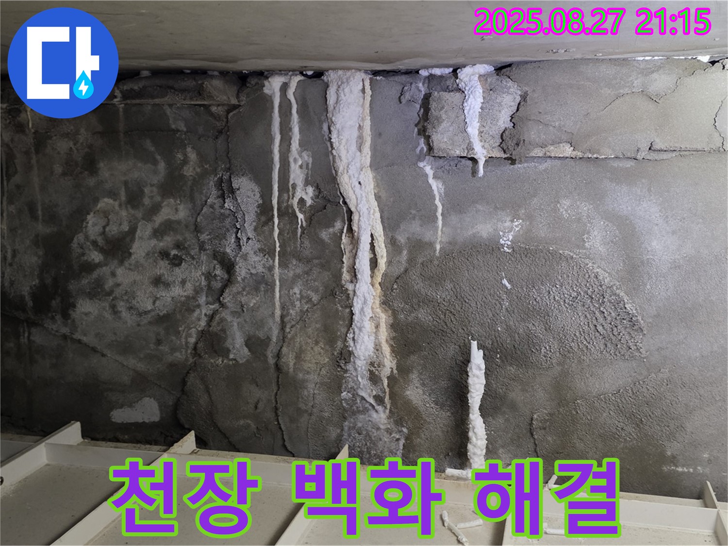 분당 운중동 산운로 121 주차장 천장 - 백화현상으로 얼룩졌던 천장이 깨끗하게 되살아난 모습을 담았습니다.