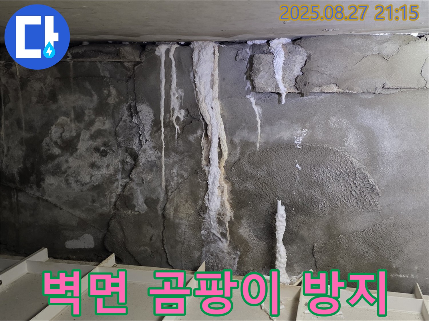 분당 운중동 산운로 주차장 벽면 - 곰팡이 확산을 막기 위한 긴급 조치 및 보수 과정을 담았습니다.
