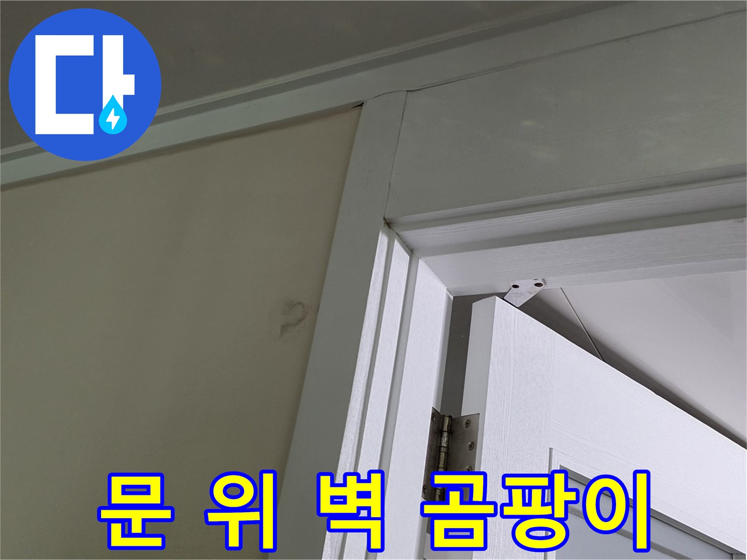 분당 운중동 산운마을 - 문 위 벽의 곰팡이 - 누수 원인을 정확히 파악하여 완벽하게 차단합니다.