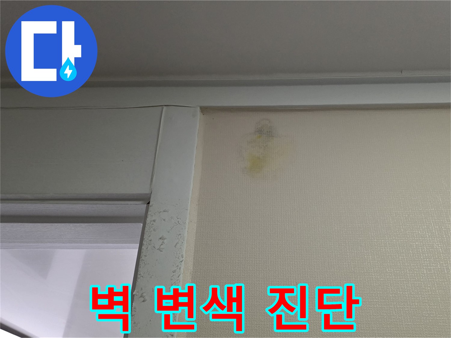 분당 운중동 산운마을 아파트 - 벽 변색 초기 발견 및 정밀 진단