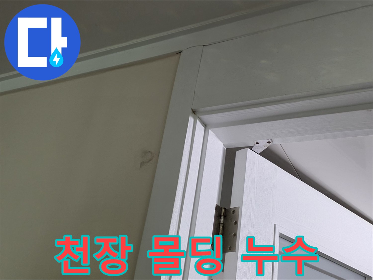 분당 운중동 산운마을 아파트 - 천장 몰딩에서 발견된 누수 - 꼼꼼한 점검으로 누수 원인을 파악하고 해결합니다.
